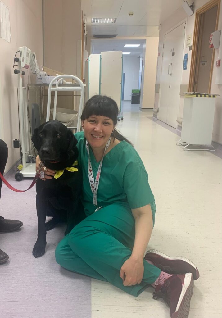 Claire with Dave the therapy dog that visits the children's unit Claire works in as a paediatric nurse. We organised for Dave to visit us and he has been visiting weekly for over a year.